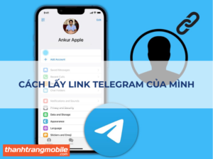 [Video] Cách lấy link Telegram của mình trên điện thoại và máy tính đơn giản